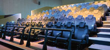 4D cinema is yet another example of the versatility of 
pneumatic technology